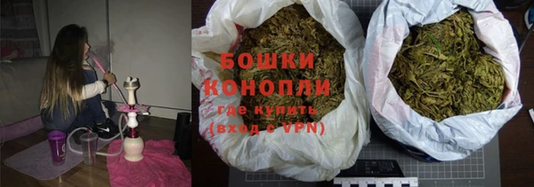шишки Алзамай