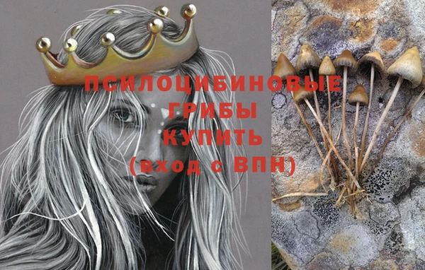 шишки Алзамай