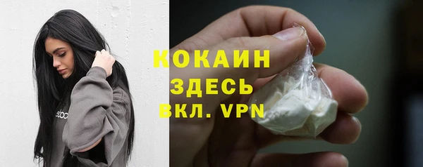 соль ск Надым
