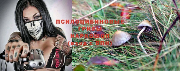 трава Наволоки