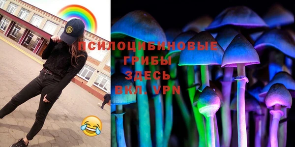 прущая мука Алексин