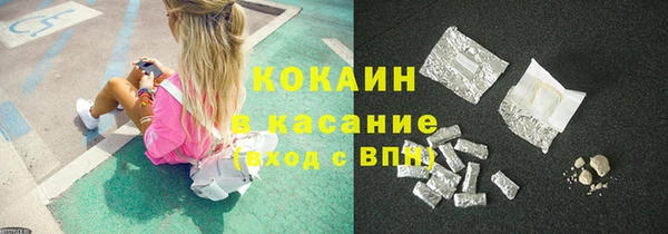 шишки Алзамай