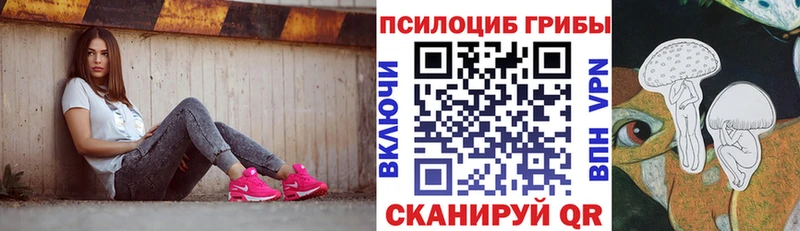 купить Пикалёво Галлюциногенные грибы мицелий